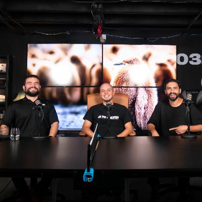 Episodio 79 - JV Performance: el Elantra N, ¿lo mejor en su segmento?