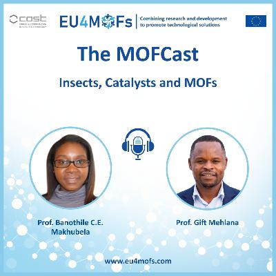 Insects, Catalysts and MOFs