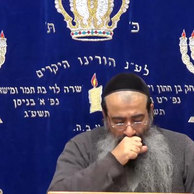 תומר דבורה 2 תומר דבורה 2