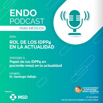Serie 19 - Episodio 3 / Papel de los IDPP4 en paciente renal en la actualidad