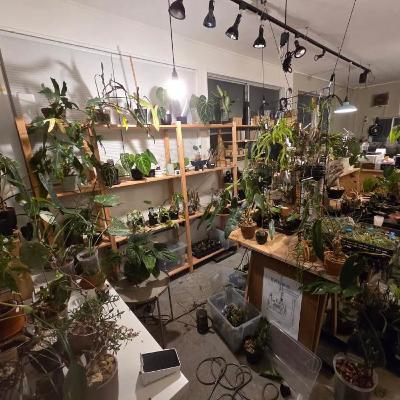 ep39 2025年、何が売れて何が売れなかった？〜変態植物倶楽部の裏メッセージとは〜(ゲスト:MERAKI・タクヤさん)