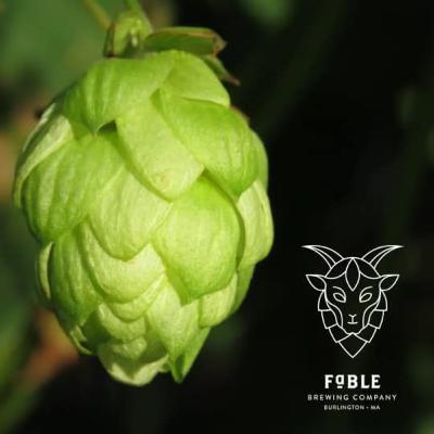 E17: Fable Brewing - A new brewery coming to Burlington