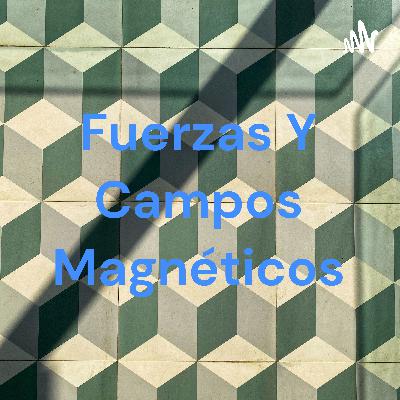 Fuerzas magnéticas y campos magnéticos