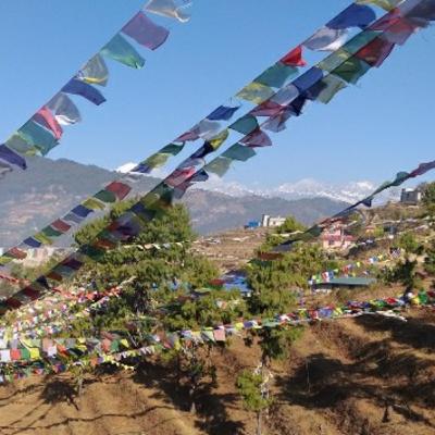 Introduction to somatosensory neurotransmission Introduction to somatosensory neurotransmission