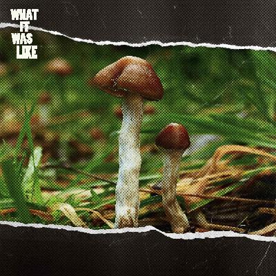 What Happens When Religious Leaders Take Magic Mushrooms?