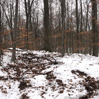 Ep. 280 : Holiday Tracking Stories Ep. 280 : Holiday Tracking Stories