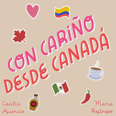 15. Mis Recomendaciones Para El Proceso De Residencia Permanente En Canadá: Canadian Experience Class | Cecilia
