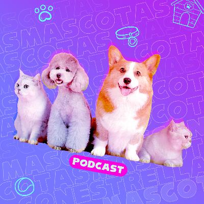 Cuidado de mascotas: ¡Momentos inolvidables!