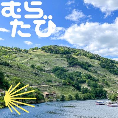 C#39 (D50) ワイナリーロードを進む 20230511