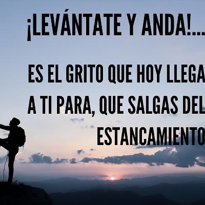 Animo, levántate y anda