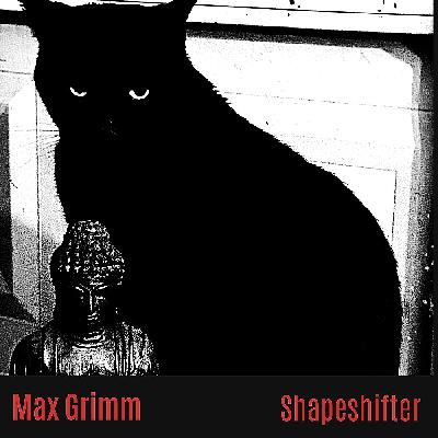 Shapeshifter by Spoken Word Poetry, Max Karl Grimm