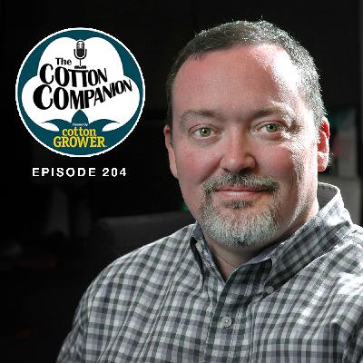 The Cotton Market Has 99 Problems but Tariffs Aren’t One