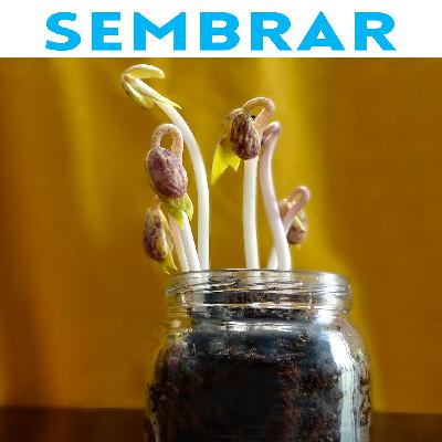 Sembrar
