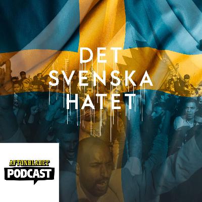 Del 31 Den arabiska våren – självmordet som blev en revolution