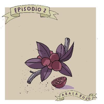 Arazá Rojo Arazá Rojo