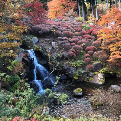 焼き鳥のつくねの話・「天気の子」の話