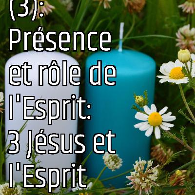 Revenons aux fondamentaux (3): Présence et rôle de l'Esprit: 3 Jésus et l'Esprit