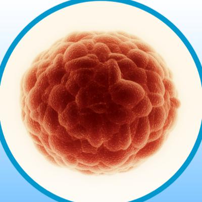 The Next Frontier: Can CAR-T Therapy Finally Conquer Solid Tumors? The Next Frontier: Can CAR-T Therapy Finally Conquer Solid Tumors?