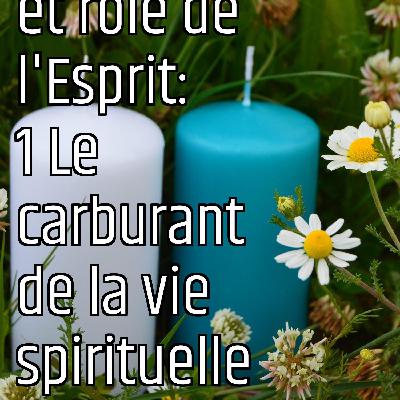 Revenons aux fondamentaux (3): Présence et rôle de l'Esprit: 1 Le carburant de la vie spirituelle