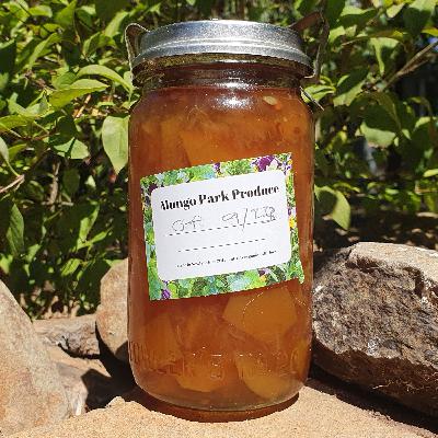 E12 : VOLUNTEERS...AND MARMALADE! PART 1 : on why people volunteer...and more!