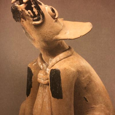 Coyote Coyote
