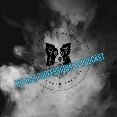 Ep11: Things we wish we where good at