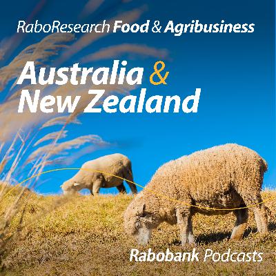 Australian wool prices push higher