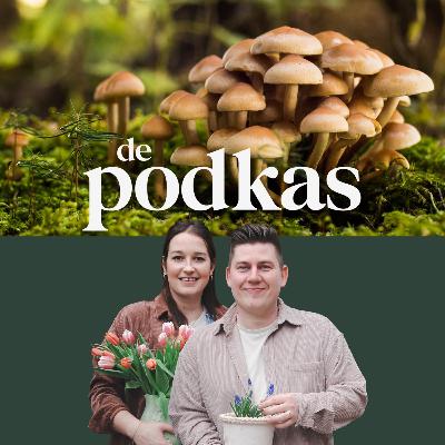 De wondere wereld van paddenstoelen | Lichtgevend & een beetje mysterieus - De Podkas #S3E8