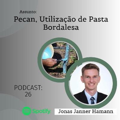 26 - Pecan, Utilização da Pasta Bordalesa