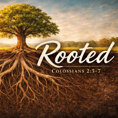 "Rooted"