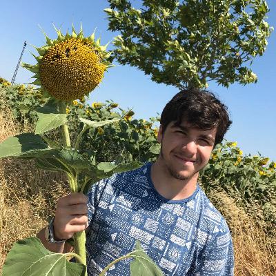 Bölüm 8 - Cevap Anahtarı Bölüm 8 - Cevap Anahtarı