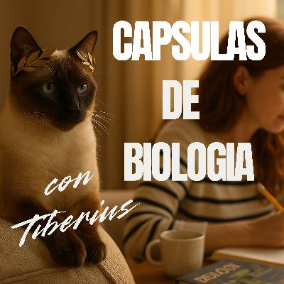 Ciencia con bigotes....la historia de Tiberius