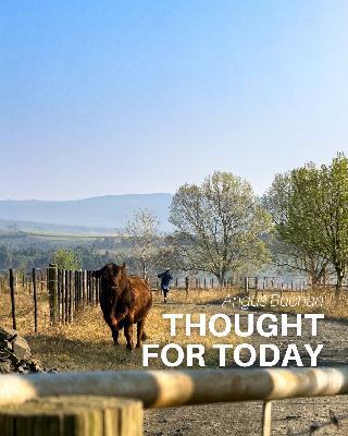 Contending with God