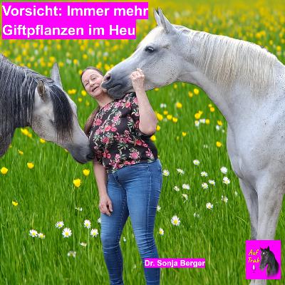 Vetmeduni Wien warnt: Mehr Giftpflanzen im Futter!