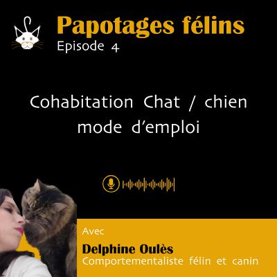 Cohabitation Chat / chien : mode d’emploi Cohabitation Chat / chien : mode d’emploi