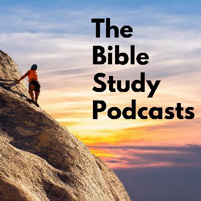 Episode #293: What Ham Did To Noah