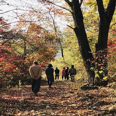 번뇌를 가볍게 여기지 마십시오 6.계속 수행하라