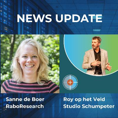 Sanne de Boer: Door netcongestie wordt het nooit meer zoals het ooit is geweest