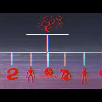 Vita Carnis | Full Series by Darian Quilloy Vita Carnis | Full Series by Darian Quilloy