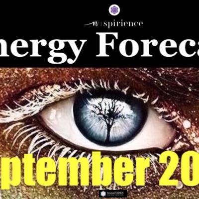 FORECAST & BETTER UNDERSTANDING SEPTEMBER 2020: Interconnectedness with Jona Bryndis