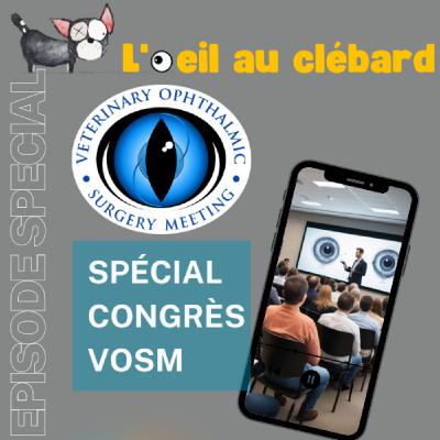 Débrief du congrès VOSM2024 à Chicago sur les nouveautés en chirurgie ophtalmologique vétérinaire Débrief du congrès VOSM2024 à Chicago sur les nouveautés en chirurgie ophtalmologique vétérinaire