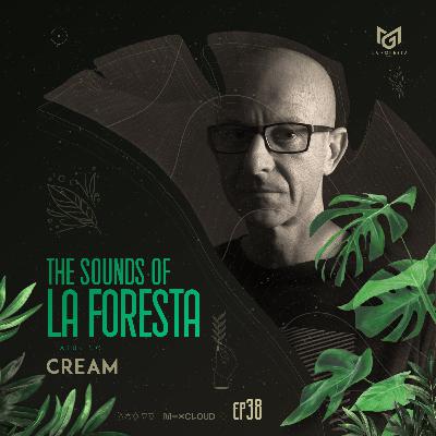 THE SOUNDS OF LA FORESTA EP38 - CREAM
