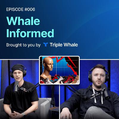 Klaviyo ProServ, Meta Ads Woes, & Footlocker: Harbinger of Death | Whale Informed #006