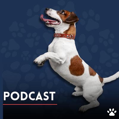Aprende y disfruta con 'Mascotas con Estrella'