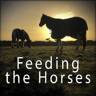 Feeding the Horses