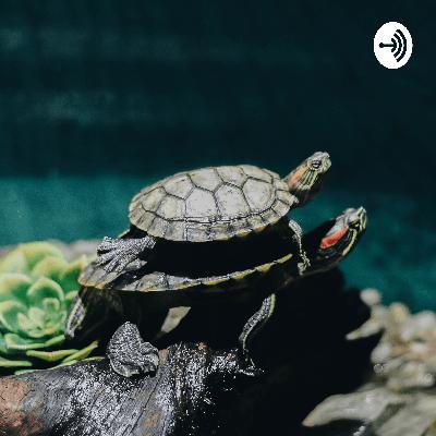 AI, Moon Landing, and Identity AI, Moon Landing, and Identity