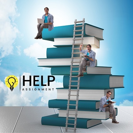 University Assignment Help