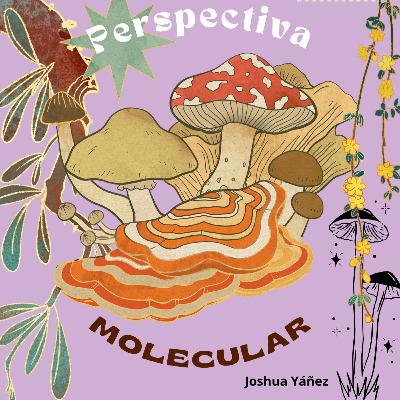 Hongos, vocación y ciencia con propósito: Milena Cotoras en Ciencia y Sociedad Hongos, vocación y ciencia con propósito: Milena Cotoras en Ciencia y Sociedad