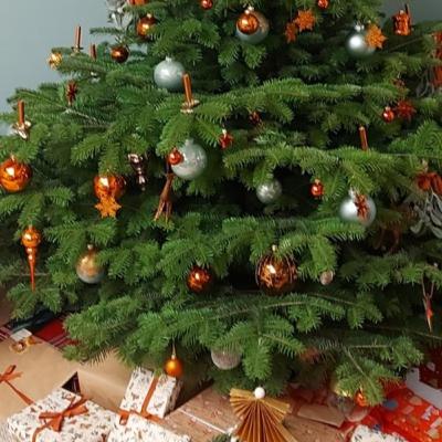 # 59 „Feiertagsstimmung“ in der Heiligen Familie