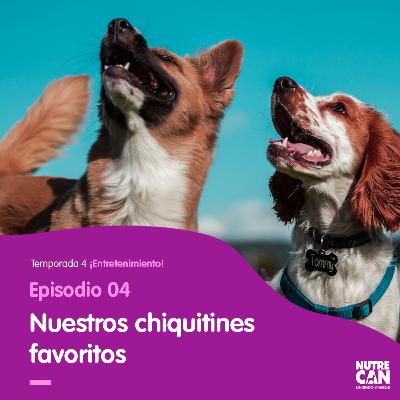 Mejor amigo mini Toy Mejor amigo mini Toy